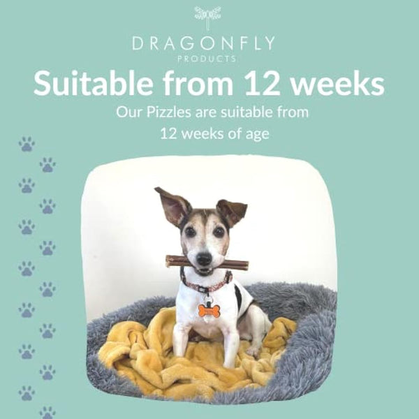 Dragonfly Products 10 pieces Bulls Pizzle Bully Sticks for Dogs & Puppies | Healthy, Natural Dog Treats Chews | Grain Free Treat