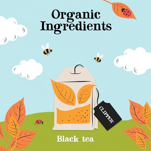 Clipper Tea Everyday Fairtrade Black Tea Bags Set of 1120 | Bulk Catering Pack of 1120 Teabags | Unbleached, Plastic Free & Biodegradable | Perfect for Office, Parties, Afternoon Tea, & Food Service
