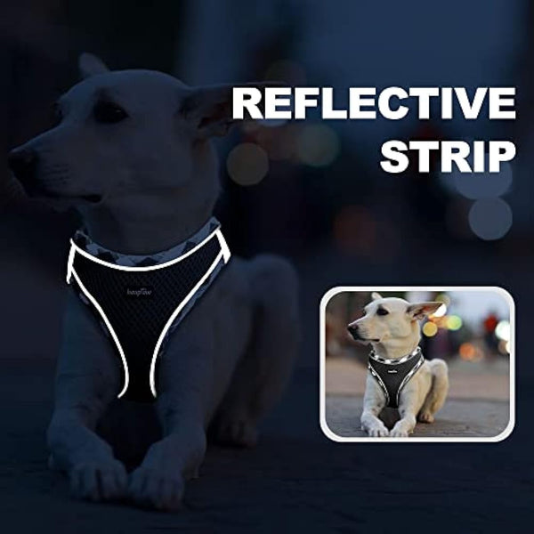 haapaw Dog Harness and Lead Set, No Pull Adjustable Reflective Step-in Puppy Harness with Thickened Padded Vest for Extra-Small/Small Medium Dogs