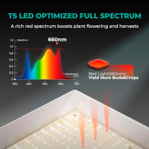 MARS HYDRO Newest TSW 2000 LED Grow Light Dimmable Grow Lights 685pcs LEDs Daisy Chain Full Spectrum Grow Lights for Indoor Plants Greenhouse Hydroponic Veg Flower Growing Lamp
