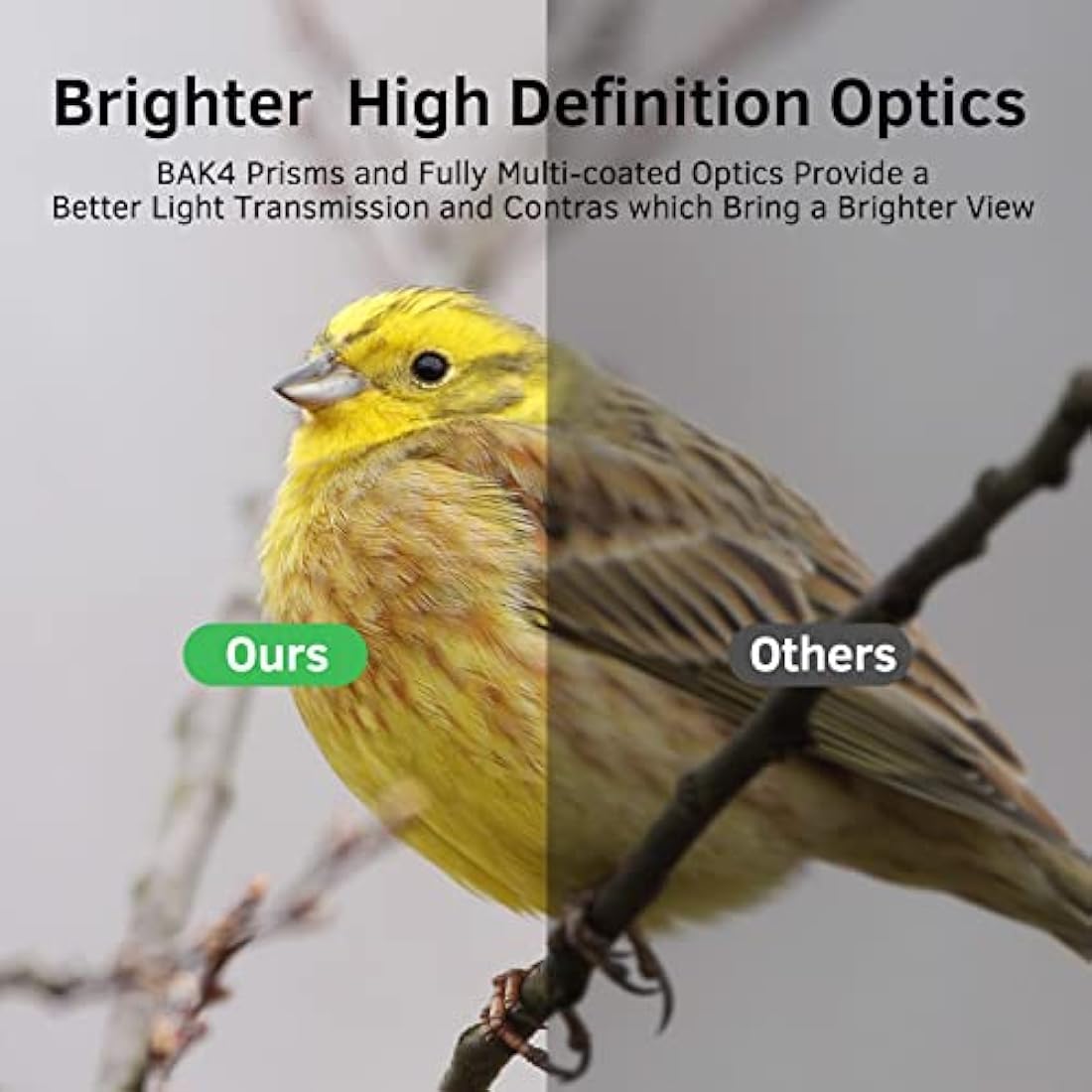 20x50 Binoculars for Adults High Power: Professional Waterproof Binoculars with Porro BAK4 Prism Len Multilayer-Coated Lenses for Bird WatchingTravel Hiking Concert and Sports