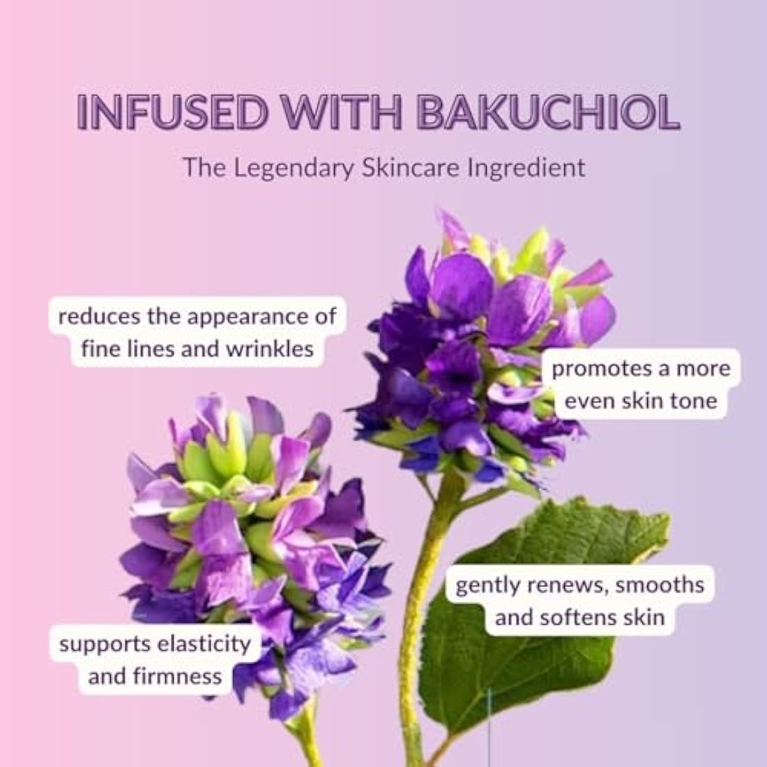 High Strength Retinol Serum - 2,5% Retinol Anti-Ageing Formula with Hyaluronic Acid and Witch Hazel - 30ml - Intensive Face Care against Wrinkles and Age Spots