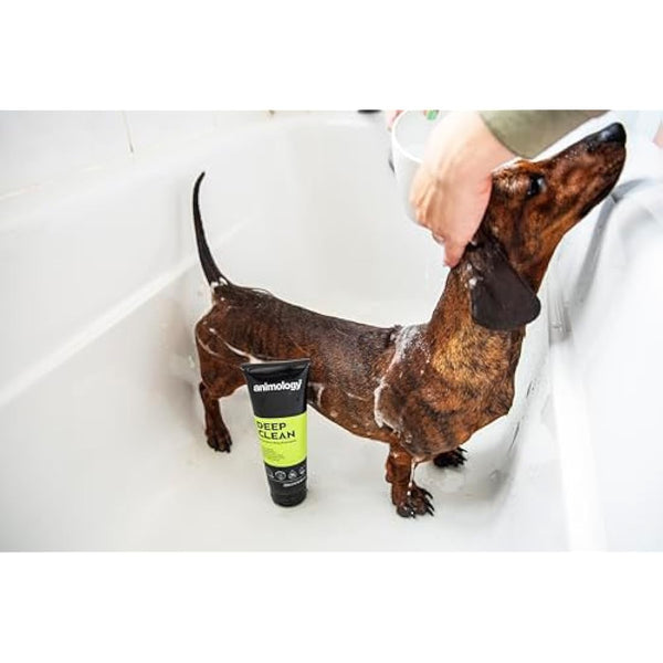 Animology Deep Clean Dog Shampoo 2.5 Litre