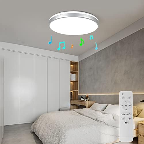 Horevo 24W LED Ceiling Light, Minimalist Silver Edge Ceiling Light with Remote Control and Bluetooth Speaker, 2000 Lumens Ø30cm Dimmable Ceiling Lights for Lounge, Living Room, Kids Room, Bedroom