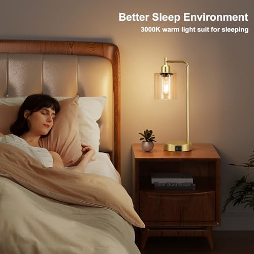 Aooshine Industrial Touch Lamps Set of 2, Gold Bedside Lamps Set of 2 with Glass Shade for Bedroom(Bulbs Included)