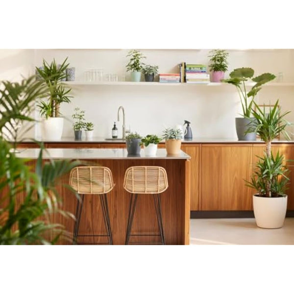 elho Brussels Round 22 - Flower Pot for Indoor - 100% Recycled Plastic - Ø 22.3 x H 20.6 cm - White/White