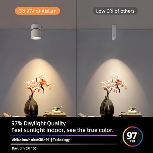 Aisilan 2 Pack White Ceiling Spotlight Dimmable 9W LED Warm White Rotatable 360° Adjustable Ceiling Single Spot Light for Wall Painting, Gallerie, Art, Living Room, Stairs, Corridor