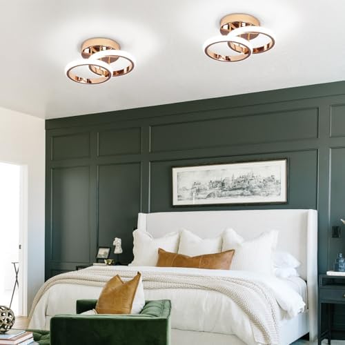 EIDISUNY LED Ceiling Light Modern Lamp Gold Round Simple Fixture for Corridor Kitchen Stairs Hallway Study Room Bedroom Living Room - Chrome Gold 22W Cool White Light 6000K