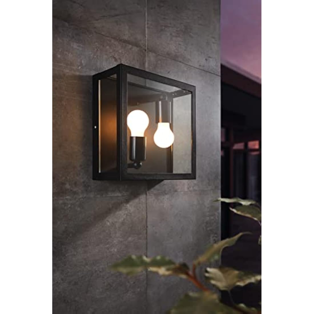 Eglo Alamonte 1 Outdoor Ceiling lamp, 2-Flame Outdoor Wall Light, Black galvanised Steel with Clear Glass Ceiling Light, E27 Socket, IP44
