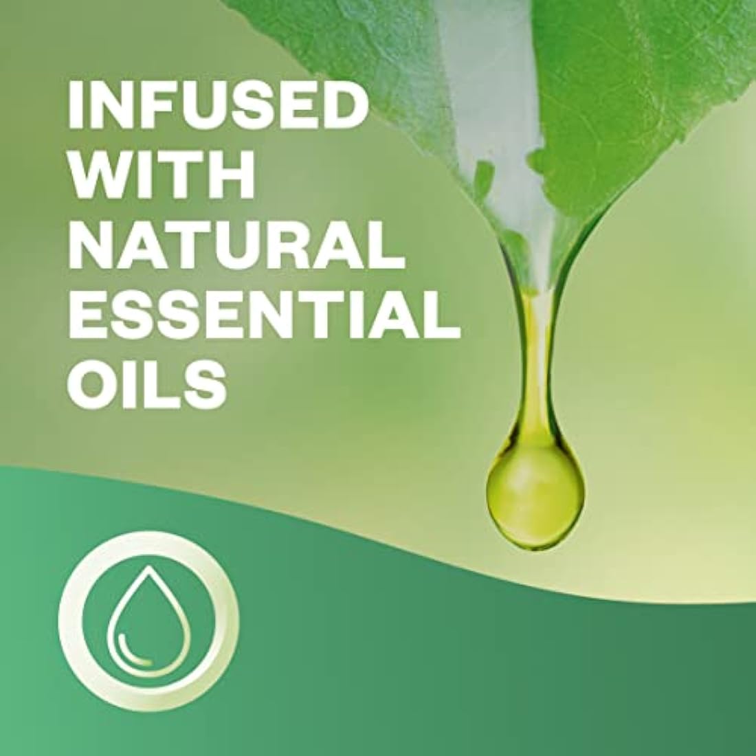 Air Wick | Spring Delight |Automatic Air Freshener |Freshmatic Auto Spray Refill | 250ml| Pack of 4