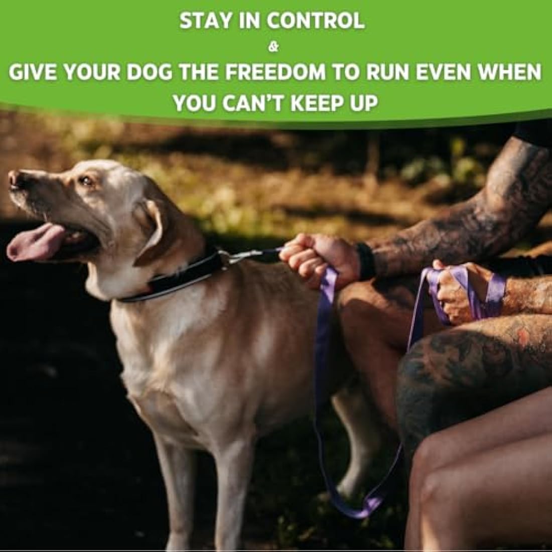 Maximum Pet Products Dog Training Lead (100ft/30m, Black)