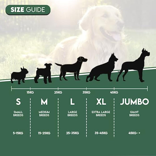 Highland Antler - Natural Fallow Antler Dog Chew. Pack of 1x Large (150g - 220g) Naturally Shed Fallow Deer Antler, Long Lasting Dog Chew Bone With Calcium And Minerals (Shape may vary)