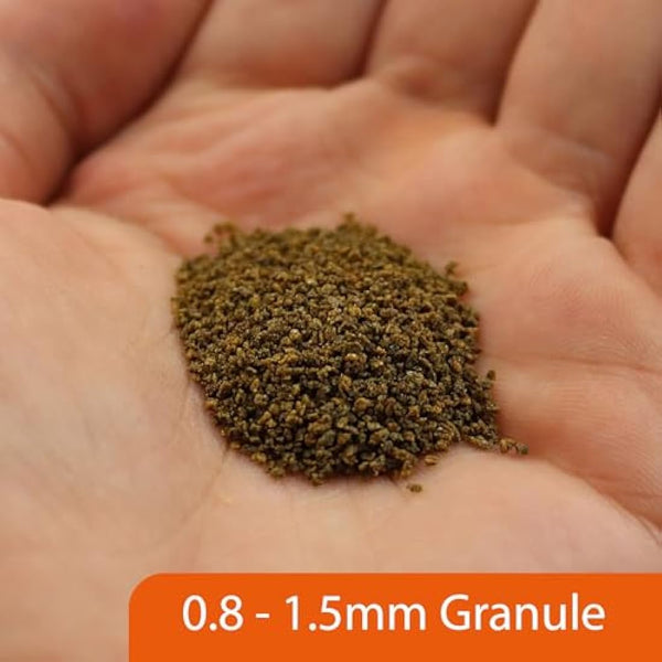 NT Labs Pro-f Probiotic Tropical Fish Food For Freshwater Fish (Contain Viable Probiotic Cultures) Granules For Tropical Aquariums, Supports Immune System, Highly Nutritious Spirulina (120g)