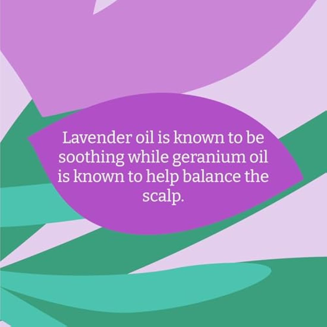 Faith In Nature Natural Lavender & Geranium Shampoo, Balancing for Normal Hair & Scalp, Vegan & Cruelty Free, No SLS, Silcones or Parabens, 5L Refill Pack