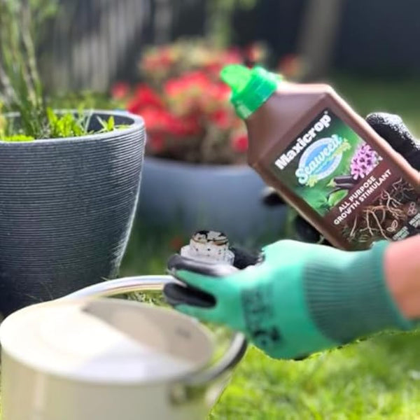 Maxicrop All Purpose Plant Growth Stimulant, 1L - Natural Seaweed Based Liquid Biostimulant - Multivitamin Boost for All Garden Plants - Strong Roots - Healthy Growth - Builds Resilient Crops