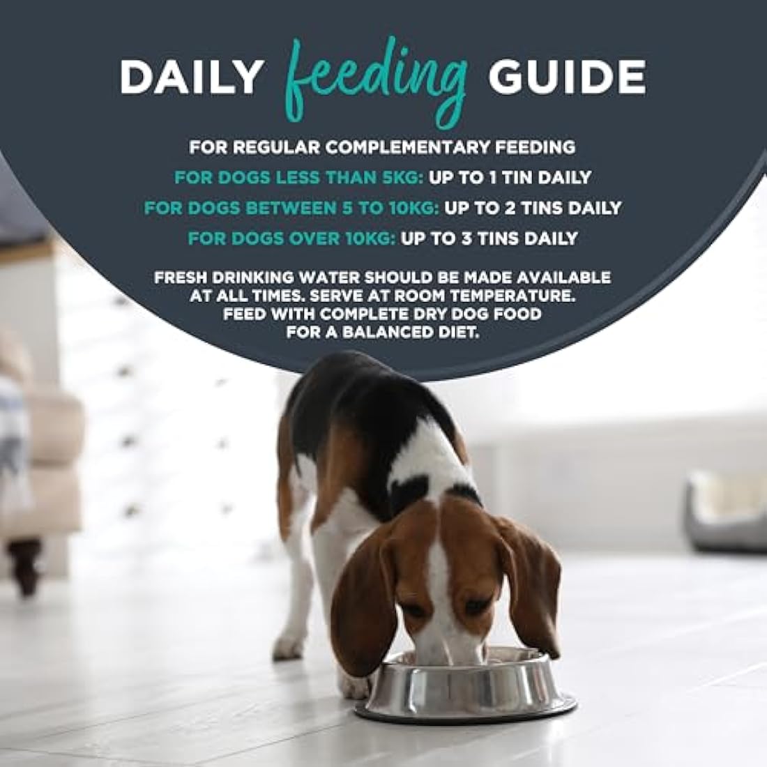 Encore 100% Natural Wet Dog Food, Multipack Meat Selection in Gravy 156 g Tin, Pack of 20