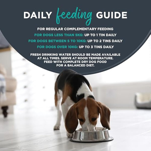 Encore 100% Natural Wet Dog Food, Chicken Breast with Ham and Vegetables in 156g Tin (Pack of 12)