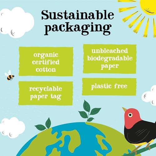 Clipper Decaf Organic Coffee | 6x 100g Jars Decaffeinated Instant Coffee | Bulk Buy for Home & Catering | Gourmet Sustainable Fairtrade Coffee by Clipper Teas | Ethically Sourced