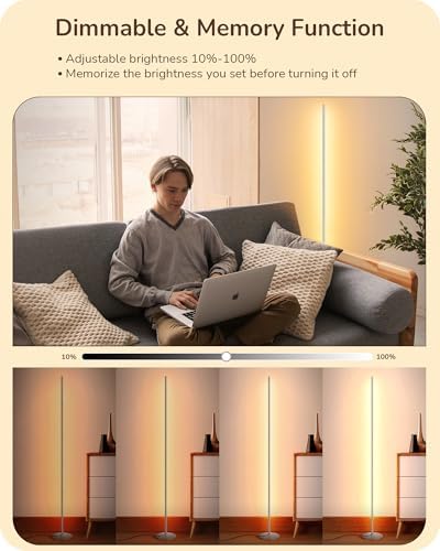 EDISHINE LED Floor Lamp, 146cm Minimalist Dimmable Standing Lamp with Foot Switch, Stepless Dimming, Tall Corner Lamp for Living Room, Bedroom, Office, 3000K, Silver