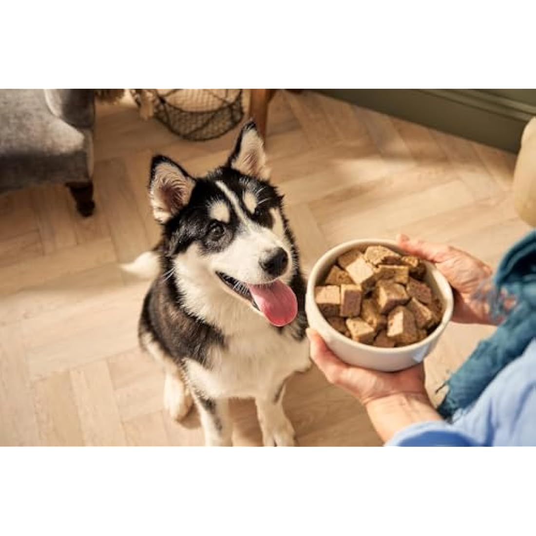 Forthglade Complete Natural Wet Dog Food - Wholegrain Variety Pack (12 x 395g) Trays - Chicken & Duck with Wholegrain Oats & Vegetables - Puppy Dog Food 2-12 months