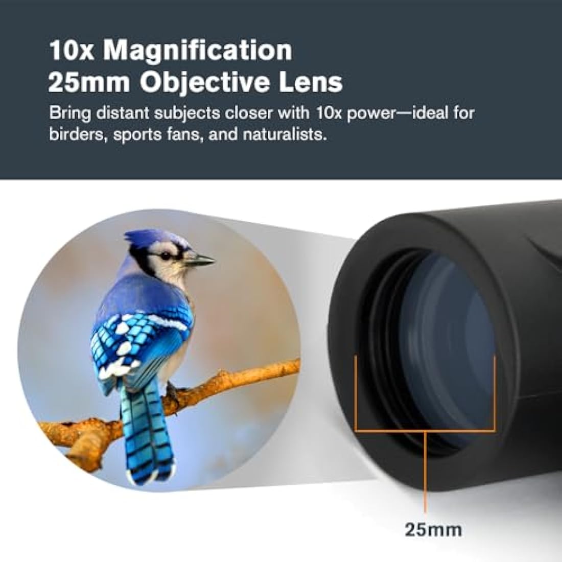 Celestron 71341 10 x 25 Outland X Binocular, Black