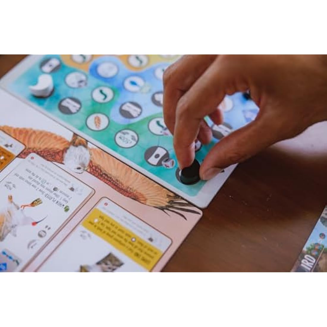 Stonemaier Games | Wingspan Asia | Standalone or Expansion Board Game | Ages 14+ | 1-7 Players |40-70 Minutes Playing Time