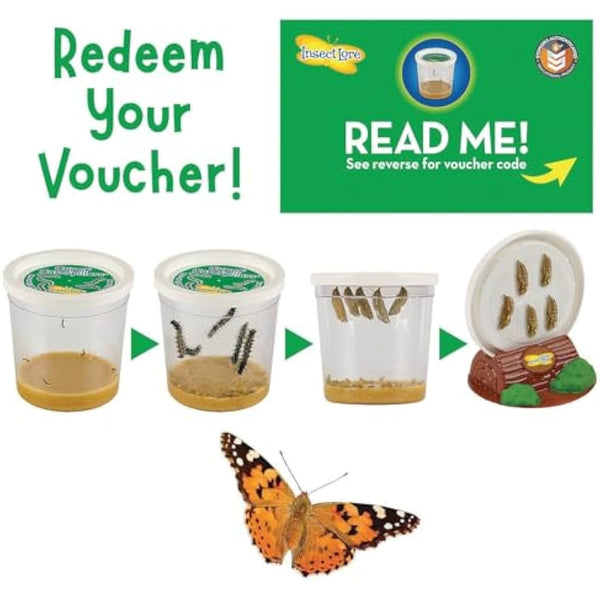 Insect Lore Giant Butterfly Garden Kit (Packaging May Vary)