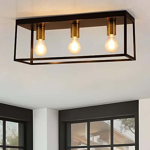 3 Lights Black Ceiling Lights, Flush Mount Modern Industrial Ceiling Light E27, LED Metal Cage Ceiling Light Fixture for Bedroom Living Room Kitchen Hallway Staircase max.60W - NO Bulb