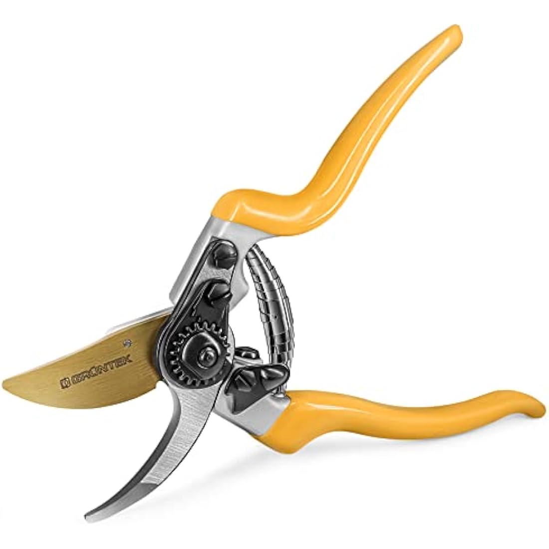 GRÜNTEK Z-25 Titanium Bypass Secateurs – 215mm Ergonomic Garden Pruning Shears with Japanese SK5 Blade | Tree, Vine & Garden Maintenance