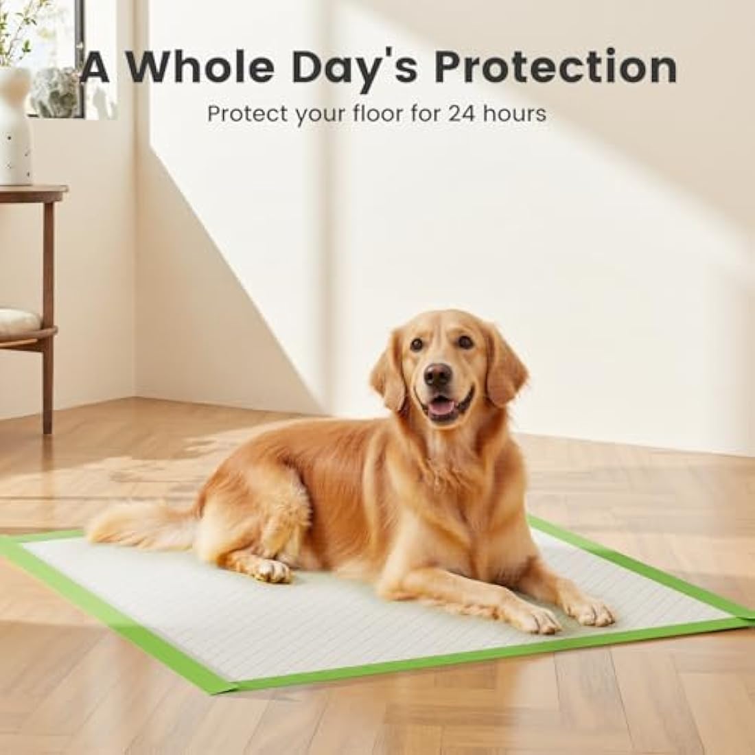 Gardner Pet Extra Large Puppy Pads 70x85cm, Super Absorbent Thicker Puppy Training Pads, 6 Layers of Leak-proof, Fast Drying, Suitable for Dogs, Cats, Rabbits (50 Pack)