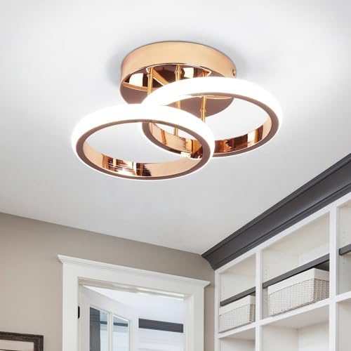 EIDISUNY LED Ceiling Light Modern Lamp Gold Round Simple Fixture for Corridor Kitchen Stairs Hallway Study Room Bedroom Living Room - Chrome Gold 22W Cool White Light 6000K
