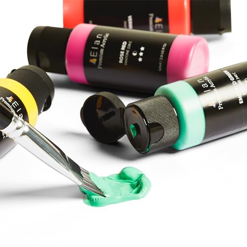 Elan Professional Acrylic Paint Set, 24 Acrylic Paint Bottles 60ml, Artist Paint Set for Adults, Acrylic Paint for Canvas, Professional Paint Set Non