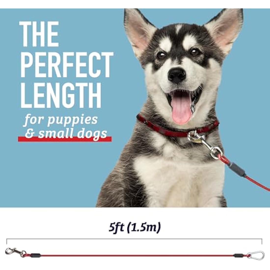 Leash Boss - 5 Foot Dog Tie Out Cable for Large Dogs - Heavy Duty Tether for Outside Dog Runner - Durable, Chew-Proof, Dog Lead for Yard, Camping, and Training Classic Red