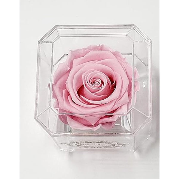 100% Real Rose That Lasts A Year | Single Pink Rose in Box | Unique Birthday Gift