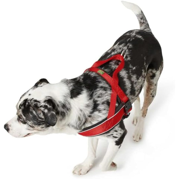 Hunter Racing Norwegian harness for dogs, nylon, reflective, coat-friendly, Brown, XXL