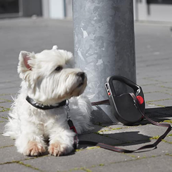 Dogxi Dog Lead Multifunctional Extendable Retractable Dog Lead 5m Handle Opens For Easy Fastening Seatbelt Buckle For Safe Transport In The Car For Small And Medium-Sized Dogs