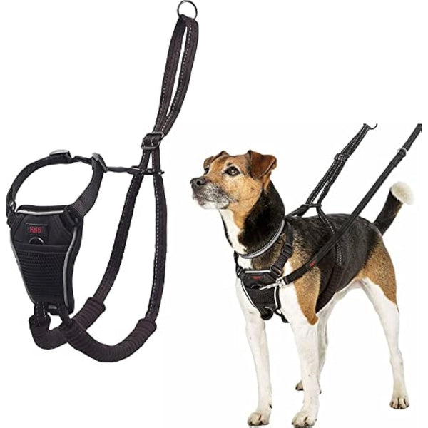 HALTI No Pull Harness Size Small, Professional Dog Harness to Stop Pulling on the Lead, Easy to Use, Anti-Pull Training Aid, Adjustable, Reflective and Breathable, For Small Dogs, Black