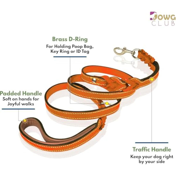 DowgClub | 6' Genuine Leather Dog Leash | Heavy Duty, Handmade, Braided, Strong | Medium, Large, X-L Dogs | Dual Handle Design D Ring | Padded & Traffic | Black, Brown, Cherry, Tan (6 feet, Tan))