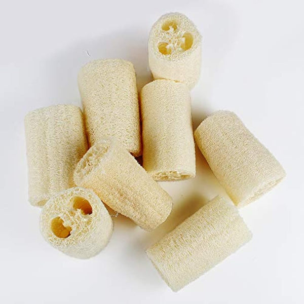 8pcs Organic Loofah Sponge, Natural Loofah Sponge, Organic Luffa, Organic Sponge Bath for Shower Scrubbing and Kitchen Cleaning(6 * 10cm)