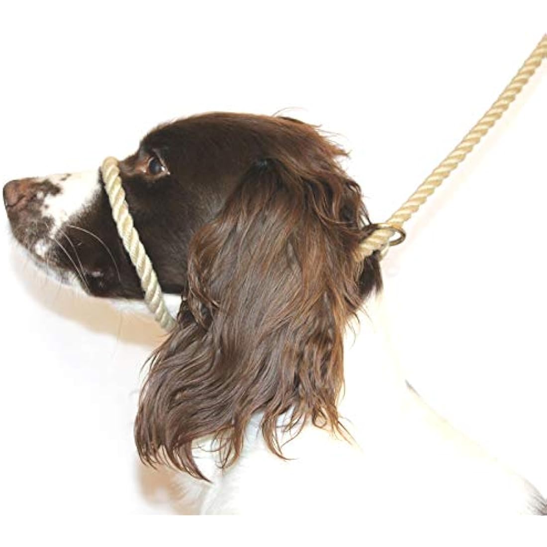 Dog & Field Figure 8 Anti-Pull Lead/Halter/Head Collar/Harness (Natural)