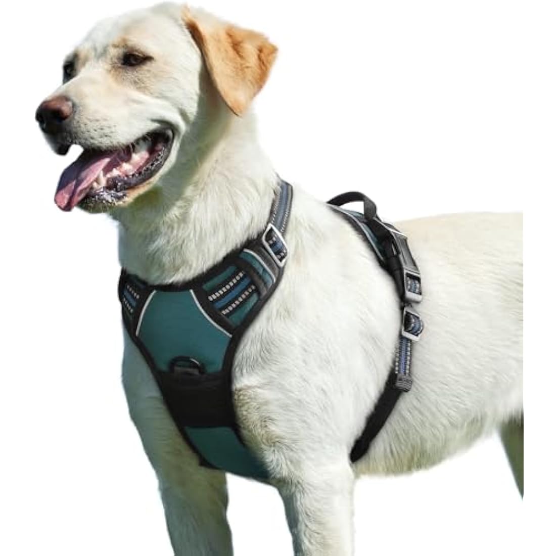 Eagloo Dog Harness Large Dog, No Pull Harness with Front Back Clips, Adjustable Pet Walking Vest, Soft Padded Pet Vest, Reflective No-Choke Breathable with Easy Control Handle, Dark Green, L