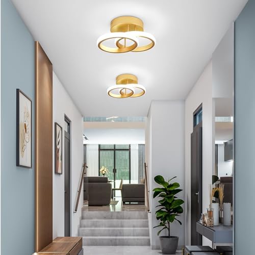 EIDISUNY LED Ceiling Light Modern Ceiling Lamp Silver Round Simple Ceiling Light Fixture LED for Corridor Kitchen Stairs Hallway Study Room Bedroom Living Room - Gold 22W (Cool White Light 6000K).