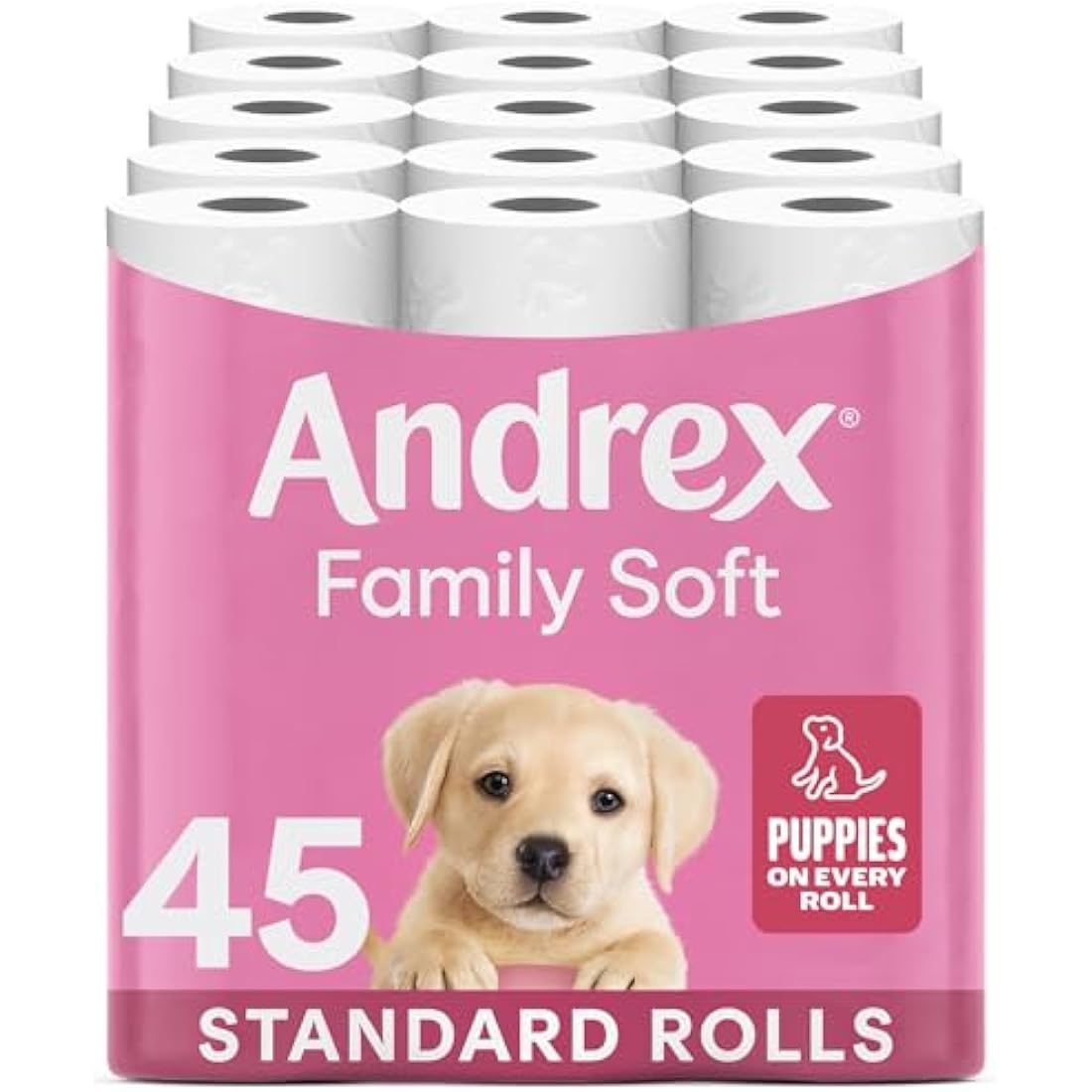 Andrex Family Soft Toilet Tissue 45 Rolls (Previously Andrex Gentle Clean) Gentle on your Family’s skin– Bulk Pack of 45 Toilet Rolls, FSC Certified