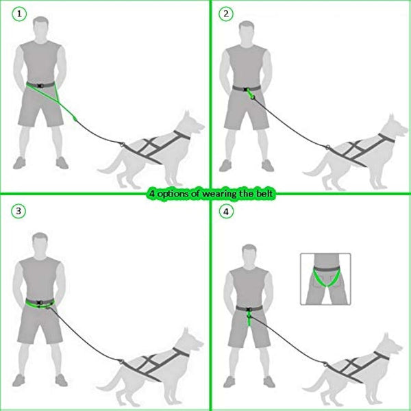 DINGO Canicross Belt 4-in-1 Universal, Adjustable, Safe, Reflective, Multifunctional, Hands-Free Dog Walking Belt for Running, Sports, Jogging, Training, Black (12780-2)