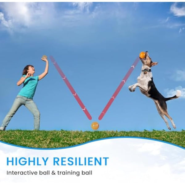 PETTOM Dog Ball Squeaky Toy, Small Dog Chew Toys Balls Waterproof Floating Bouncy Rubber Ball with Squeaky Sound for Training Swimming, 3 Packs (Orange,Blue,Green)