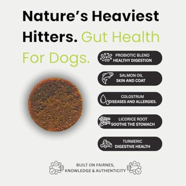 Doggy Dailies Probiotics for Dogs - Canine Supplements for Digestive and Immunity Support - Skin Health and Itch Support - Vitamin Treats - Veterinarian Formulated Probiotic