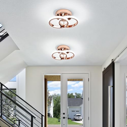 EIDISUNY LED Ceiling Light Modern Lamp Gold Round Simple Fixture for Corridor Kitchen Stairs Hallway Study Room Bedroom Living Room - Chrome Gold 22W Cool White Light 6000K