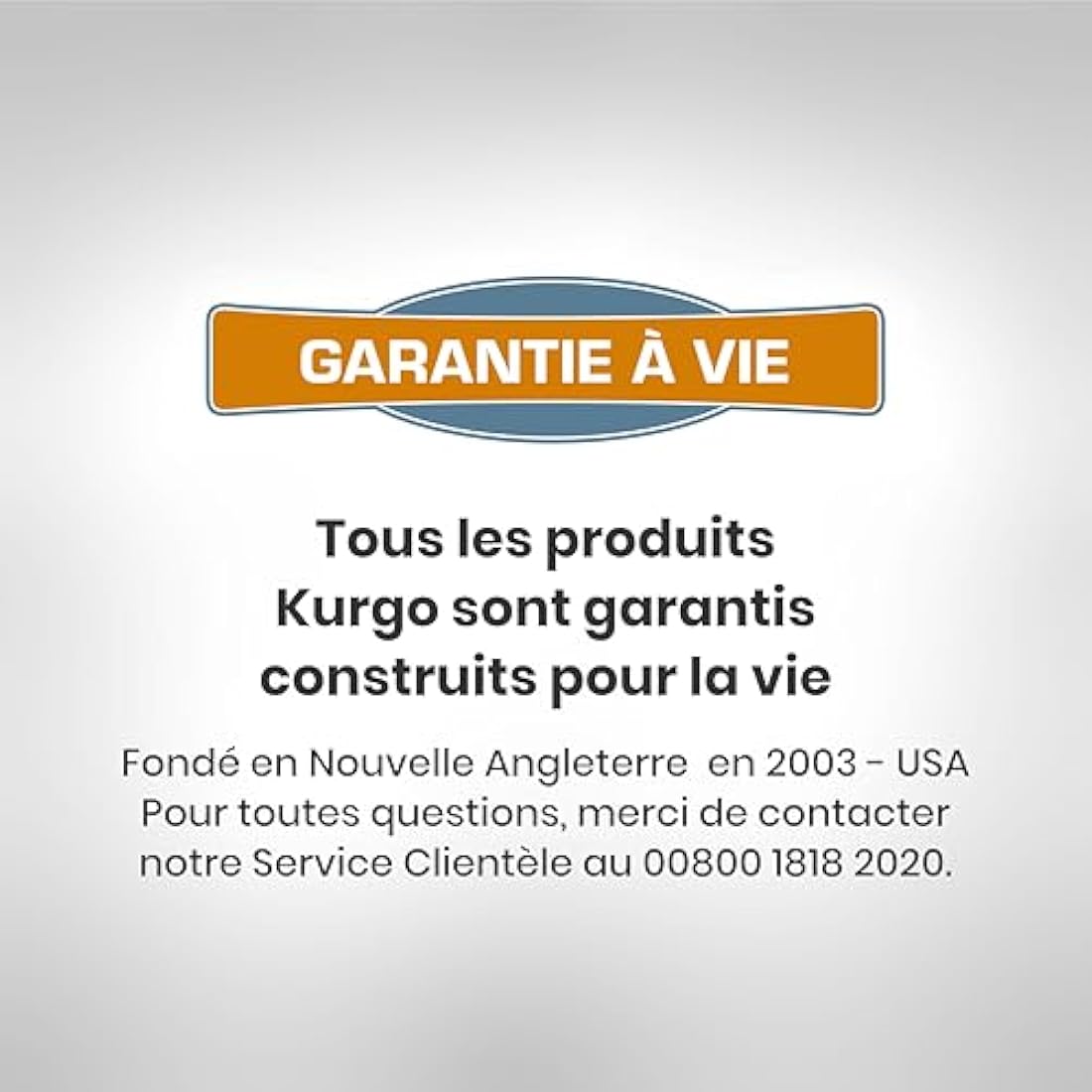 Kurgo Car Door Guard, Dog Car Door Protector, Easy Installation, Waterproof & Stain-Resistant, 2-Pack, Charcoal Grey