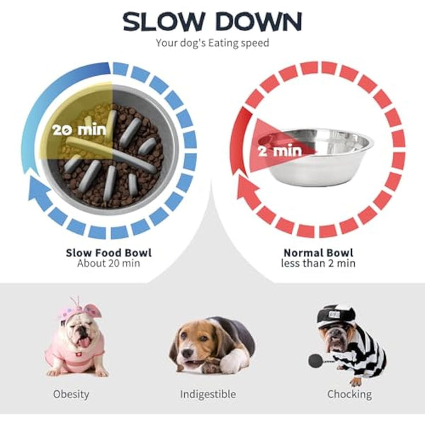 FOREYY Adjustable Elevated Dog Bowls with 2 Stainless Steel Bowls and 1 Slow Bowl, Raised Dog Bowl 5 Heights, Non-Slip Dog Food water Bowl Stand for Small Medium Large Dogs(Gary)