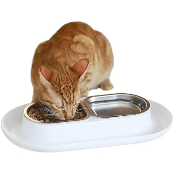 Hepper NomNom - Spill Proof Elevated Cat Bowls for Food and Water - Whisker Relief Cat Bowl + Raised Cat Food Bowls: a Safe Cat Dish for Messy Cats - Stainless Steel Cat Bowl Station